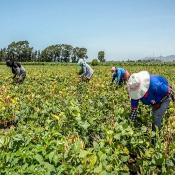 Producción nacional creció 3,41%